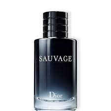 sauvage translation|mon sauvage meaning in english.